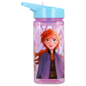Bidon 510ml Frozen  51014