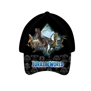 Czapka  JUW24-0079-C
