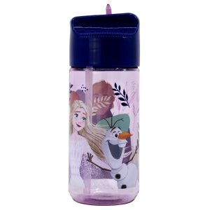 Bidon 430ml Frozen 74236