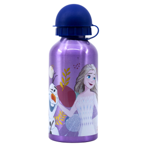 Bidon alum. 400ml  Frozen 74234